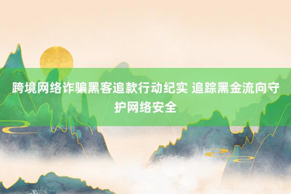 跨境网络诈骗黑客追款行动纪实 追踪黑金流向守护网络安全