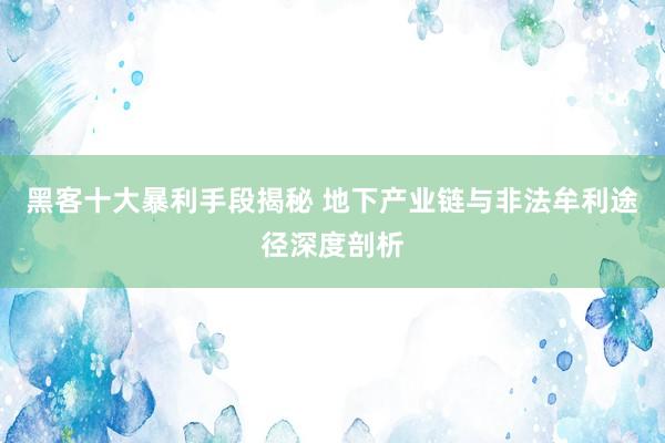 黑客十大暴利手段揭秘 地下产业链与非法牟利途径深度剖析